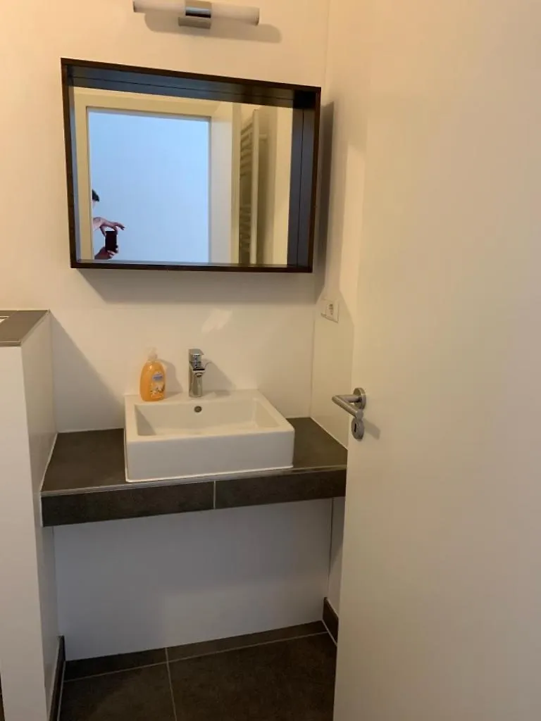 Apartment Ferienwohnung Haus Elvis Ludwigshafen am Rhein